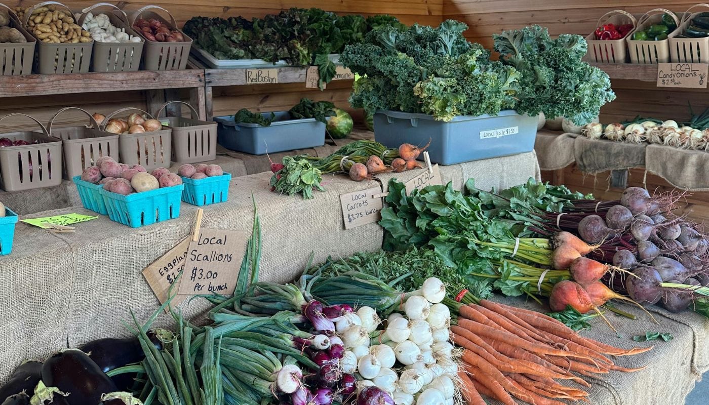 Is Organic Produce Really Better? Why My Family Chooses Organic